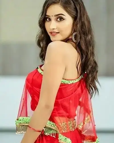 Call Girls Service Kudligi